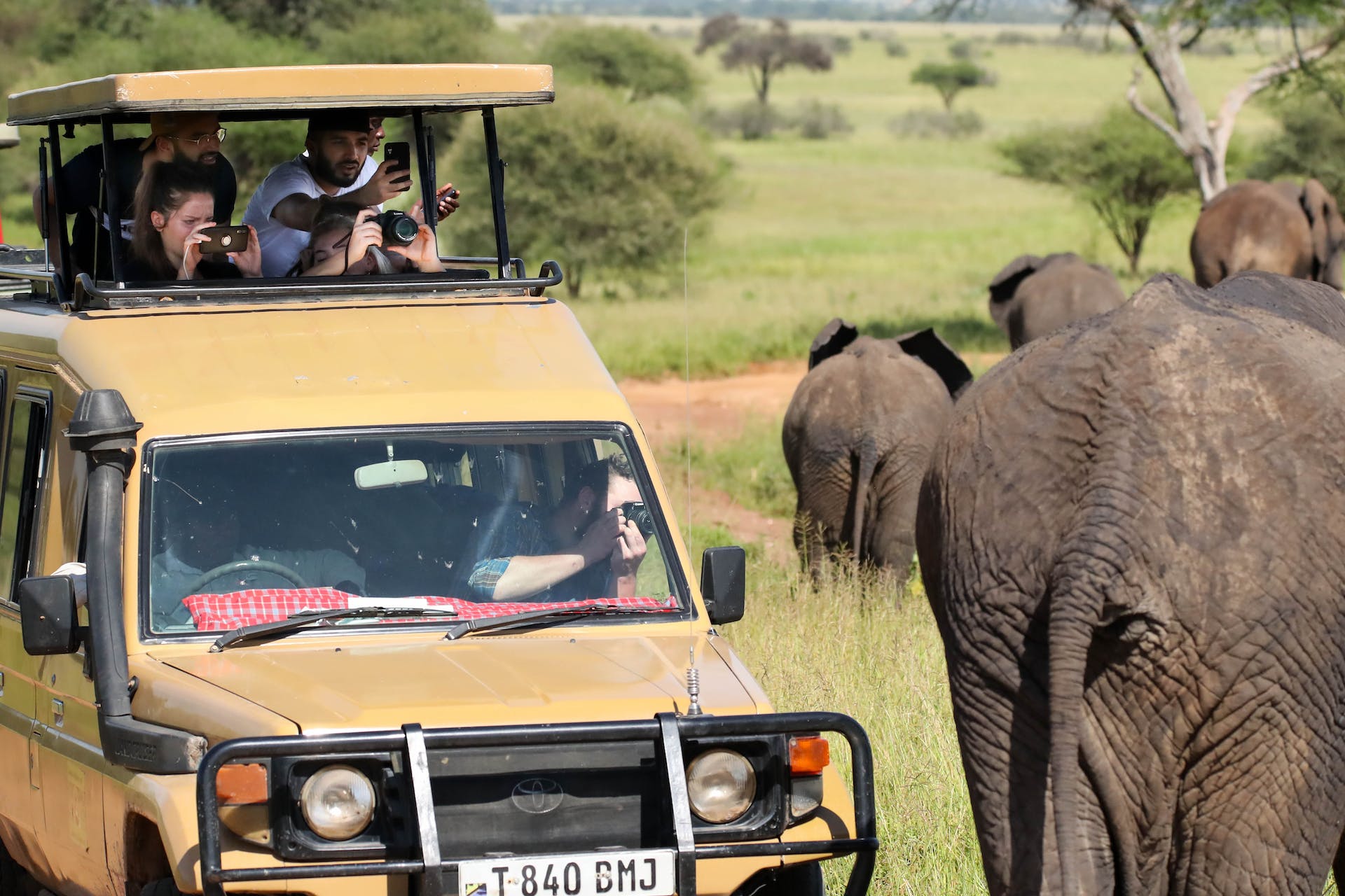 3-Day Salt Lick Safari Lodge Train Package