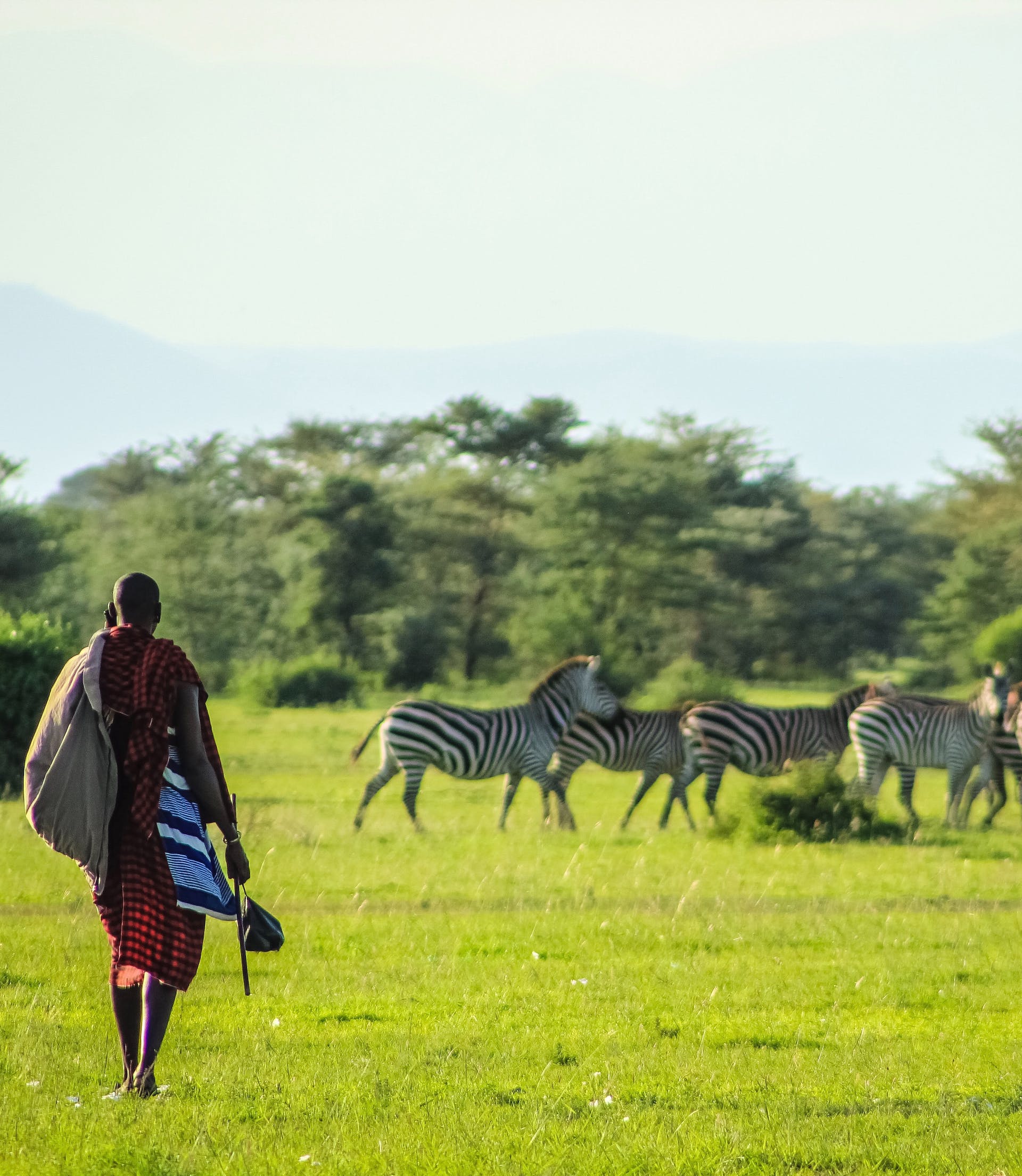 3-Day Tsavo East and West National Park Tour