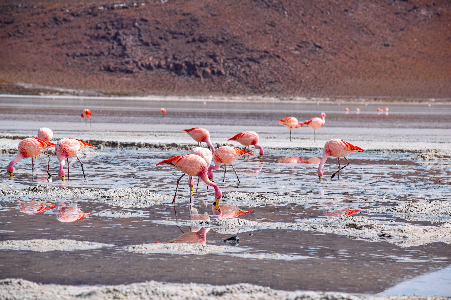 2-Day Nairobi-Amboseli High End Tour