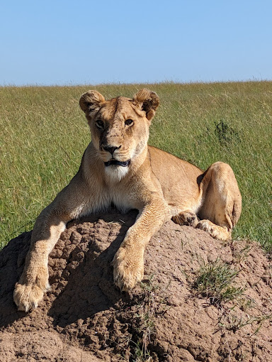 4-Day Luxury Magic Kenya All Year Round