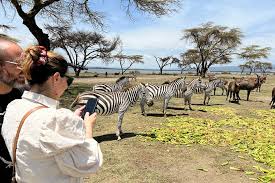 1-Day Nakuru National Park, Lake Naivasha and Crescent Island Based on 4 pax with Land Cruiser