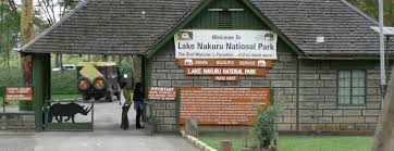 1-Day Lake Nakuru and Lake Naivasha Tour Based on 4 pax with Land Cruiser