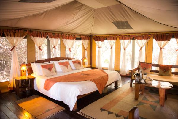 3-Day Maasai Mara Tipilikwani Mara Camp with land Cruiser based on 6 pax MARCH