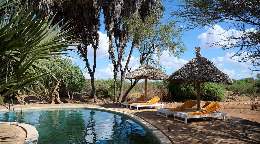 3 DAYS SARUNI RHINO CAMP WITH LAND CRUISER BASED ON 6 PAX 1ST AUGUST- 31ST AUGUST