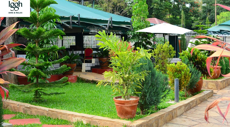 Lovely Garden Guest Home