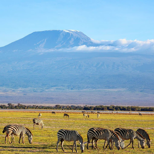 3-Day Masai Mara Luxury Tour