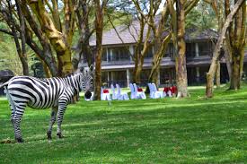 Lake Naivasha Simba lodge