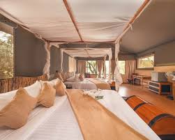 3 DAYS MARA KIMANA CAMP WITH LAND CRUISER BASED ON 6 PAX AUG-SEPT