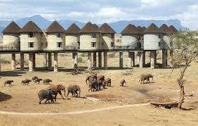 3-Day Safari Salt Lick Lodge with Land Cruiser based on 4 pax ( 1JULY-31 AUG)