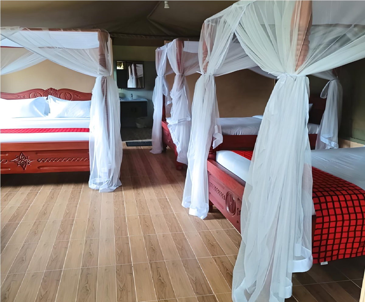 3 DAYS MARA NTULELE CAMP WITH LAND CRUISER BASED ON 6 PAX JUL - OCT