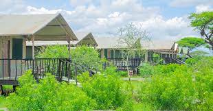 3 DAYS NYATI SAFARI CAMP WITH LAND CRUISER BASED ON 6 PAX JAN-JUNE