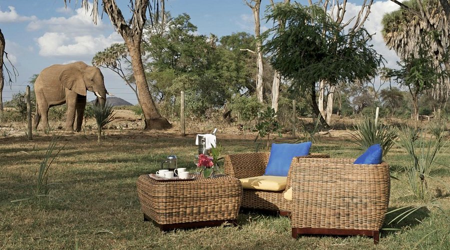 3 days Samburu Ashnil Luxury Camp based on 4 pax July-31st August