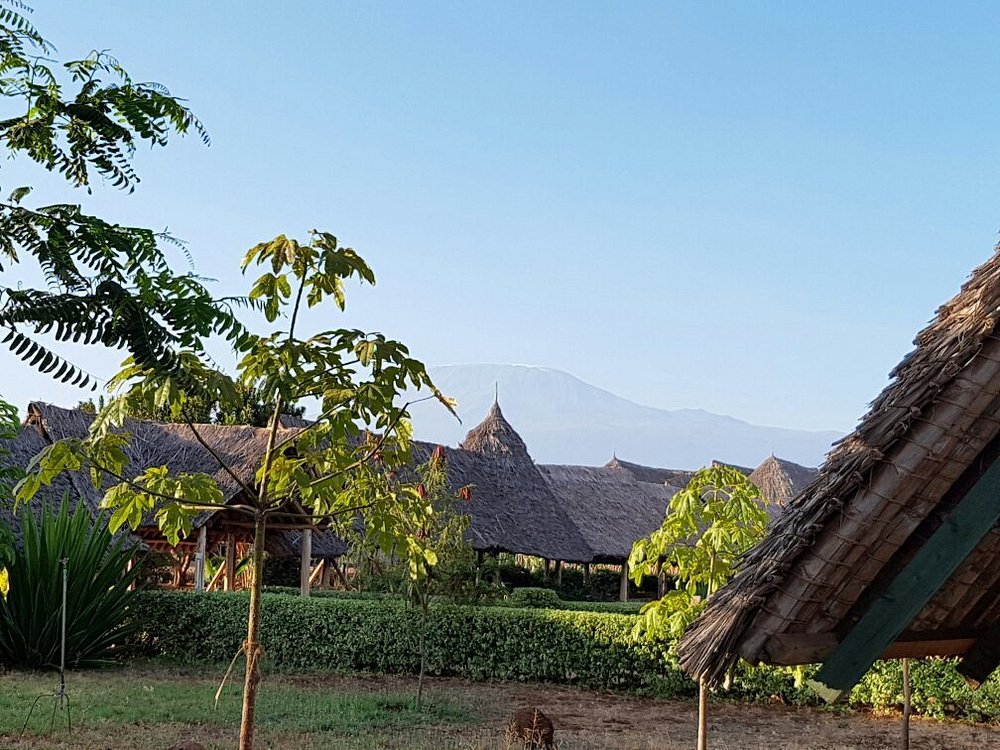 3 DAYS  AA LODGE AMBOSELI WITH LAND CRUISER BASED ON 4 PAX  JULY- AUGUST