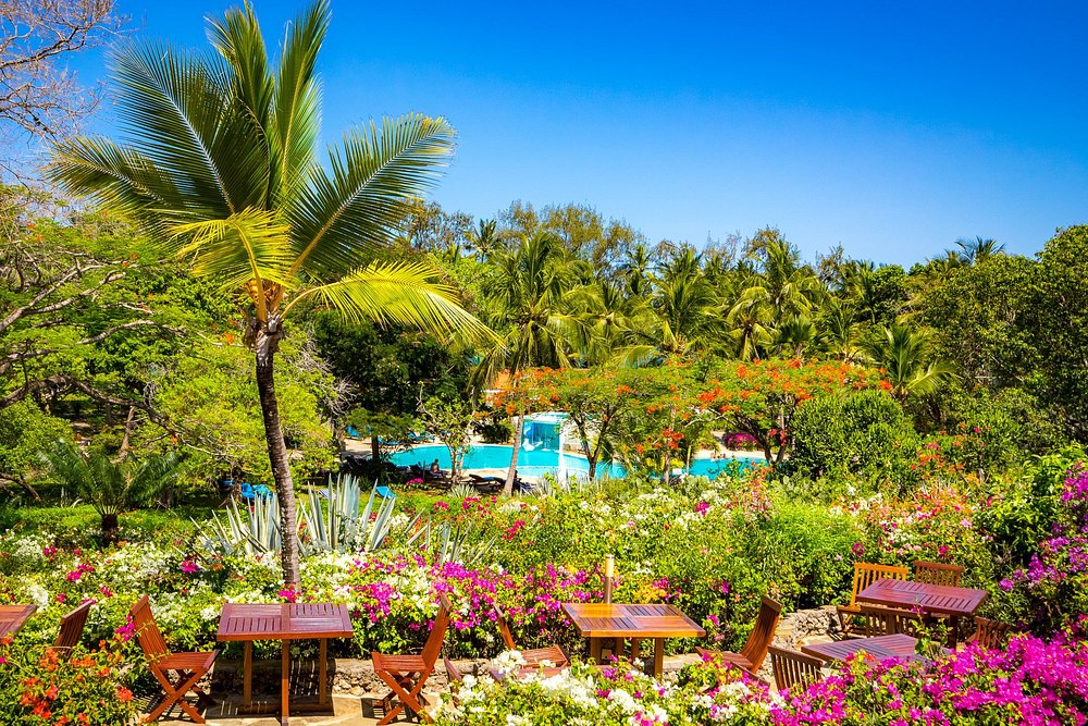 5 NIGHTS PACKAGE AT DIANI SEA RESORT  WITH FLIGHT 1ST AUGUST- 30TH SEPTEMBER